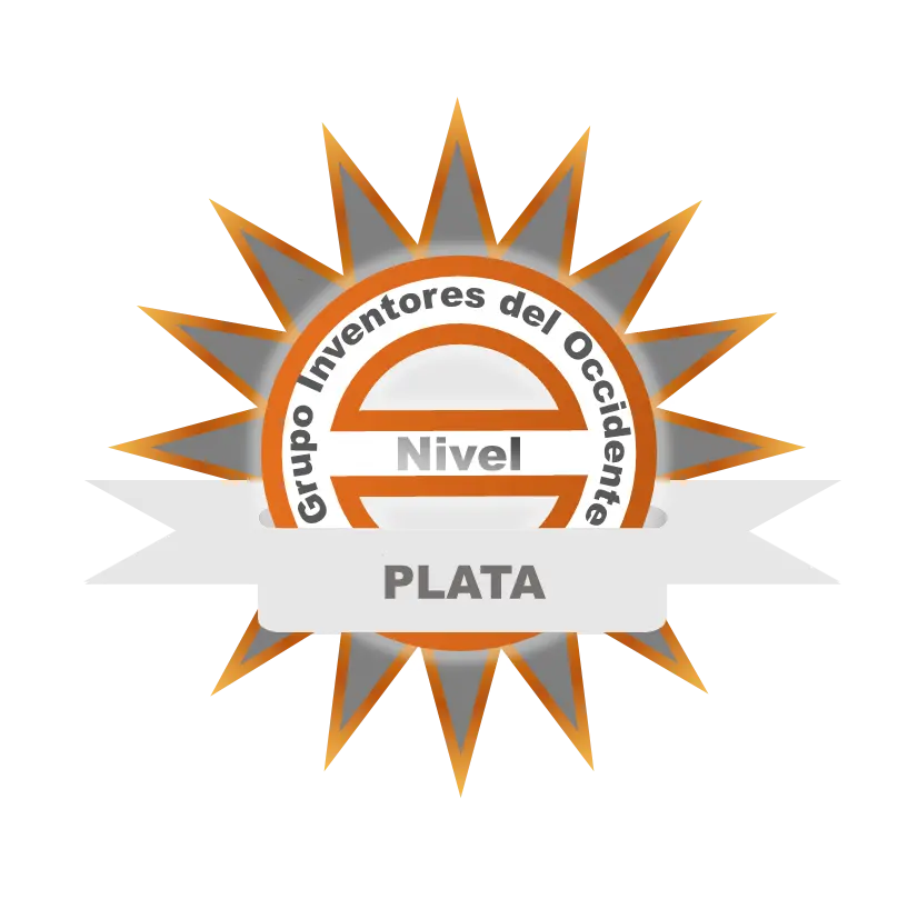 Embajador Regional Nivel plata